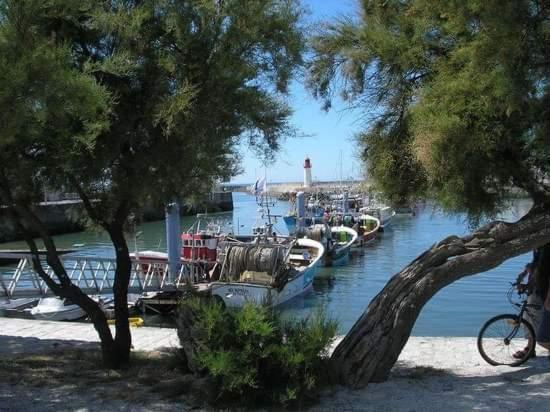 La Cotinière - Océan Pinède - Bungalow - Plage - port - commerces Exterior foto